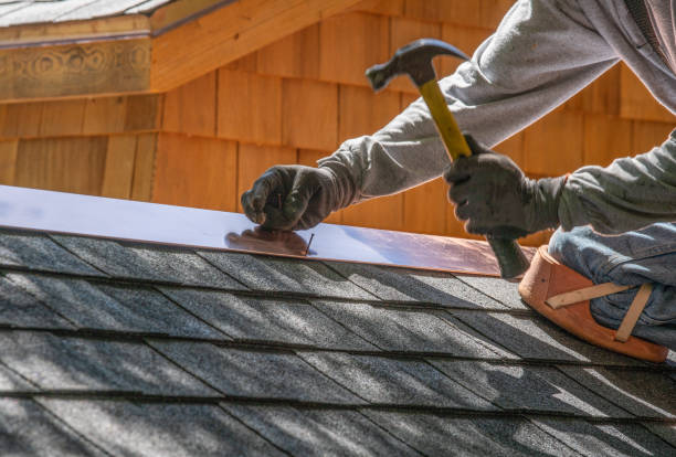 Best Roof Moss and Algae Removal  in Lakesite, TN