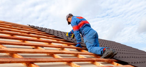 Best Gutter Installation and Repair  in Lakesite, TN